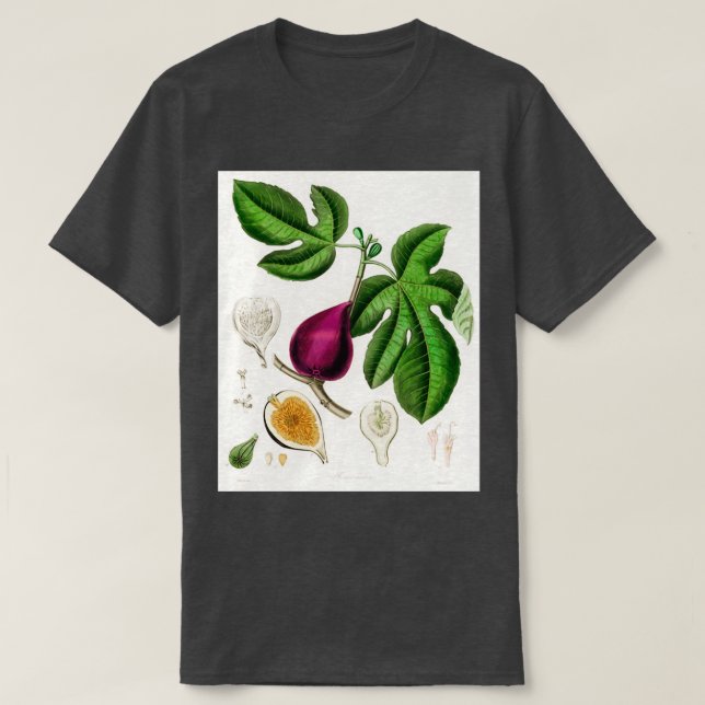 Abb. Ficus carica Abbildung aus medizinischer Bota T-Shirt (Design vorne)
