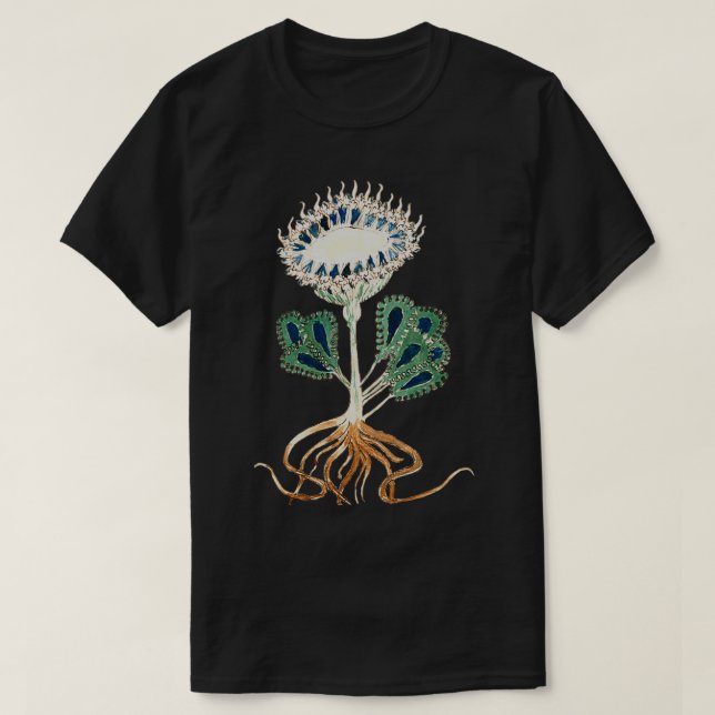 Abbildung 1 von Voynich Manuskript-Pflanze T-Shirt (Design vorne)
