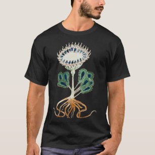 Abbildung 1 von Voynich Manuskript-Pflanze T-Shirt