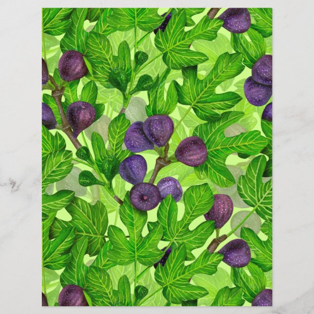 Abbildung 2 (Vorderseite)