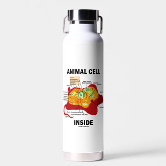 Abbildung der Zellen in Eukaryote Trinkflasche