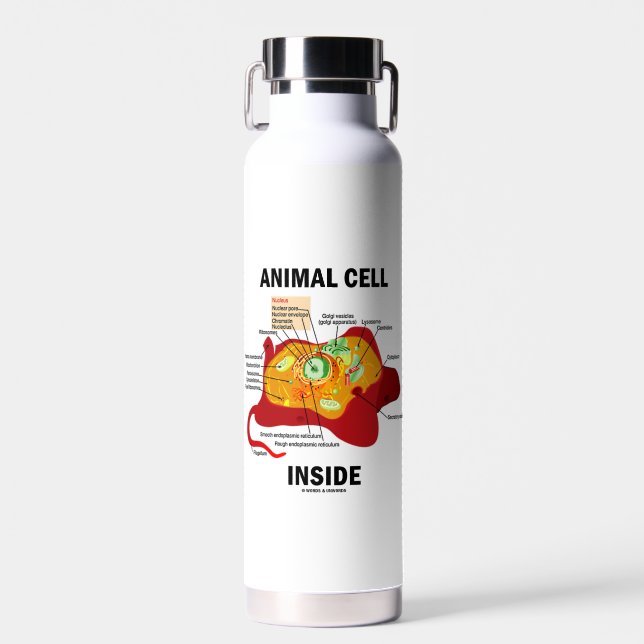 Abbildung der Zellen in Eukaryote Trinkflasche (Vorne)