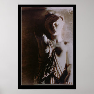 Abbildung eines Amazonas Poster