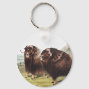 Abbildung Ox (Ovibos moschatus) Schlüsselanhänger