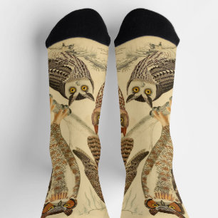 Abbildung Socken
