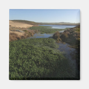 Abbotts Lagoon I an Point Reyes National Seashore Magnet