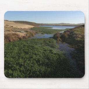 Abbotts Lagoon I an Point Reyes National Seashore Mousepad