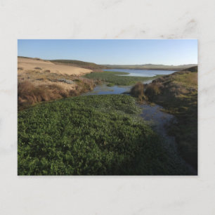 Abbotts Lagoon I an Point Reyes National Seashore Postkarte