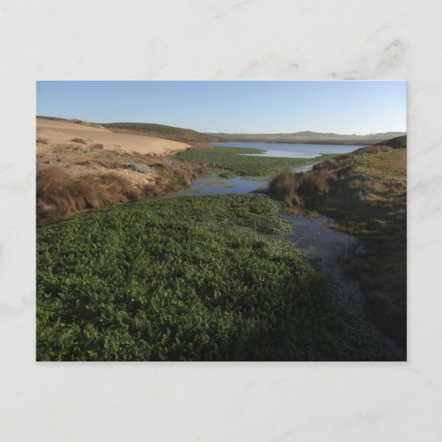 Abbotts Lagoon I an Point Reyes National Seashore Postkarte (Vorderseite)