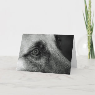 Abby German Shephful Eye Blank Card Karte