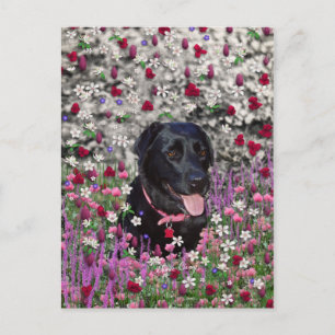 Abby in Blume - Black Lab Dog Postkarte