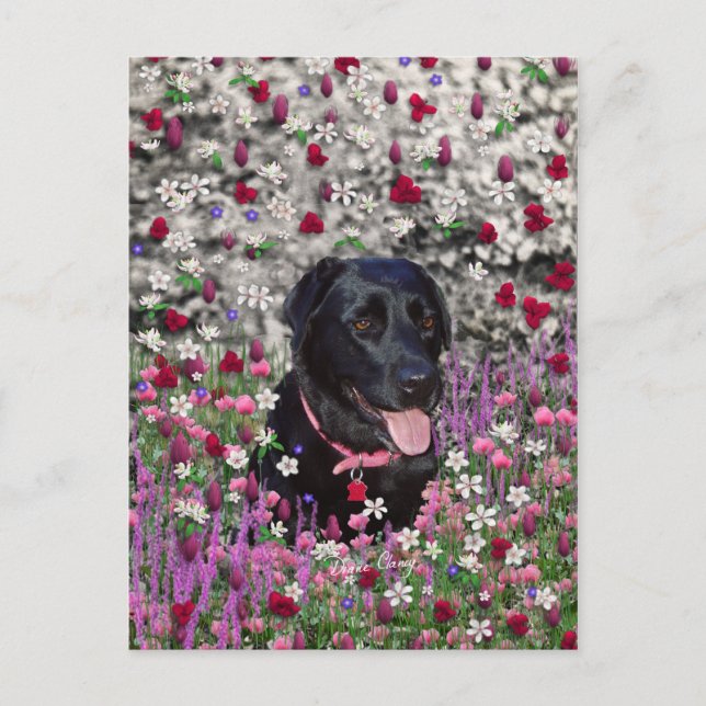 Abby in Blume - Black Lab Dog Postkarte (Vorderseite)
