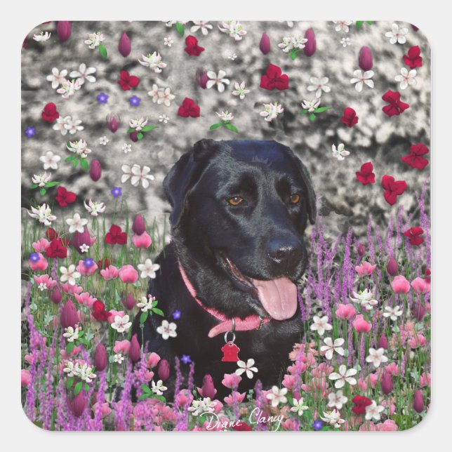 Abby in Blume - Black Lab Dog Quadratischer Aufkleber (Vorderseite)