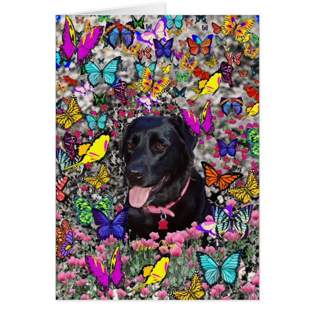 Abby in Butterflies - Black Lab Dog (Vorne)