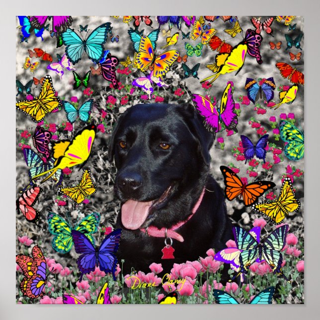 Abby in Butterflies - Black Lab Dog Poster (Vorne)