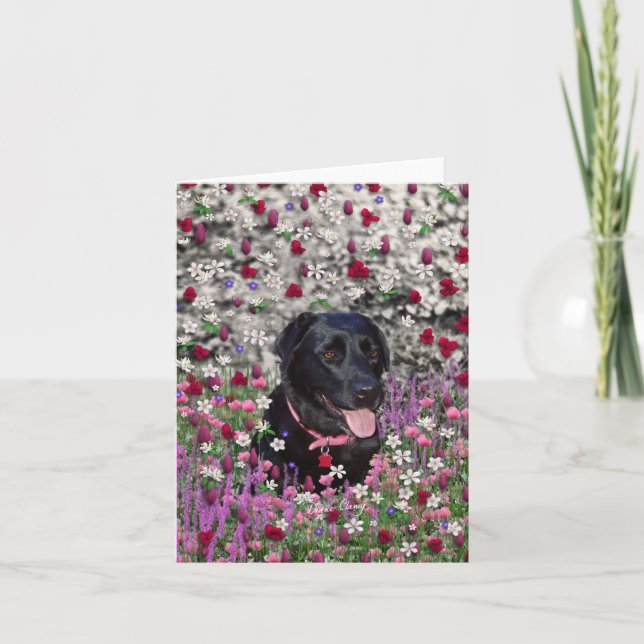 Abby in den Blumen - schwarzer Labrador-Hund Karte (Vorderseite)
