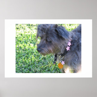 Abby Mae Poster
