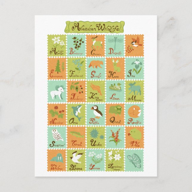 ABC Alaskan Wildlife Postkarte (Vorderseite)
