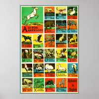 Abc Alphabet Animal Poster - Lehrhilfeskizze