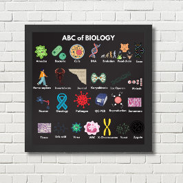 ABC der Biologie Poster