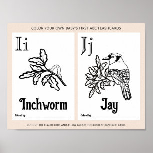 ABC Flashcards Baby Shooting Coloring Activity She Poster