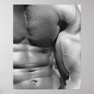 Abdomen und Bizeps Poster