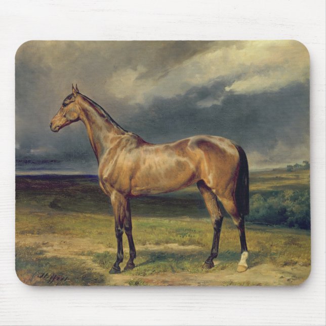 Abdul Medschid das arabische Pferd der Kastanie, Mousepad (Vorne)
