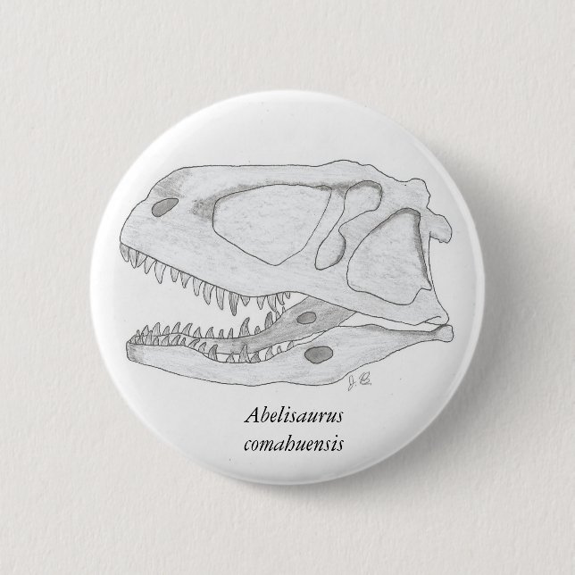 Abelisaurus comahuensis Schädelknopf Button (Vorderseite)