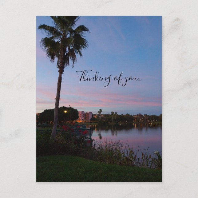 Abend am Palmenbaum Postkarte (Vorderseite)