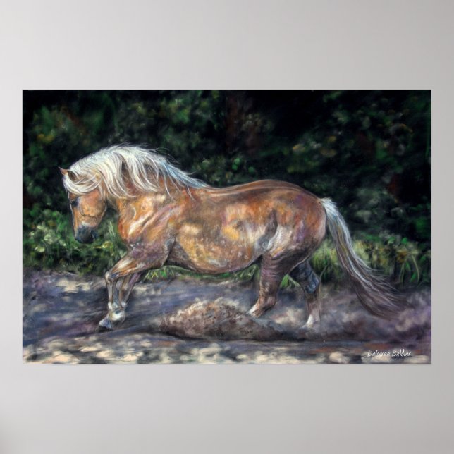 Abend Brise Poster (Vorne)