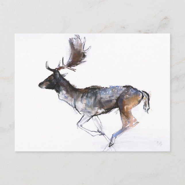 Abend Buck Postkarte (Vorderseite)