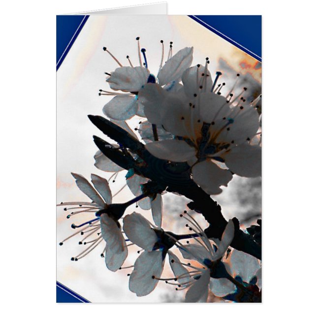 Abend Cherry Blossom Blank Card (Vorne)