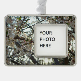 Abend Cherry Blossoms II Frühjahr Sonnenuntergang Rahmen-Ornament Silber
