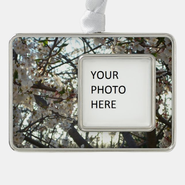 Abend Cherry Blossoms II Frühjahr Sonnenuntergang Rahmen-Ornament Silber (Vorderseite)