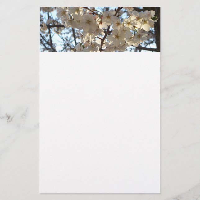 Abend Cherry Blüten I Spring Floral Briefpapier (Vorderseite)