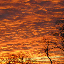 Abend Dream Notizbuch