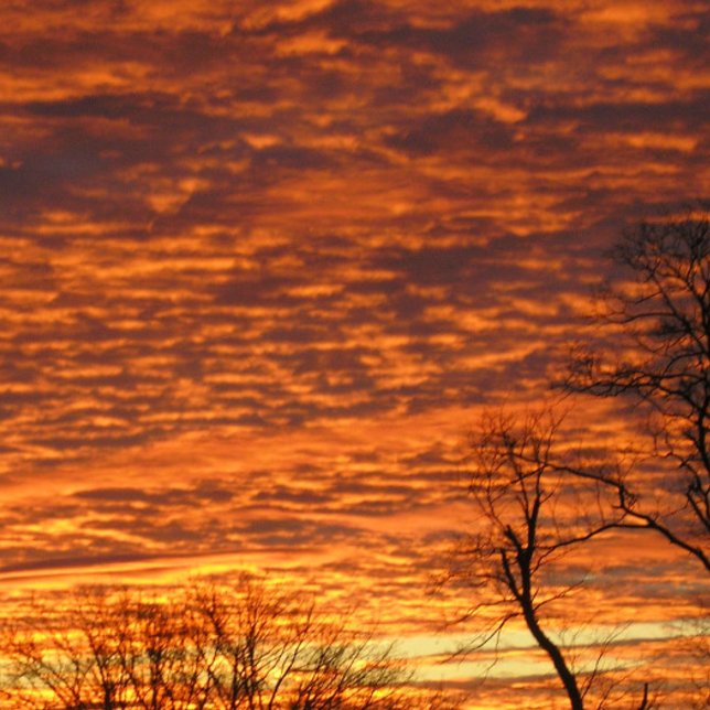 Abend Dream Notizbuch (Von Creator hochgeladen)