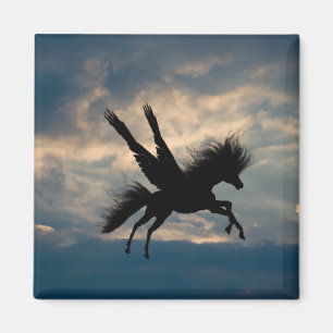 Abend Flight Magnet