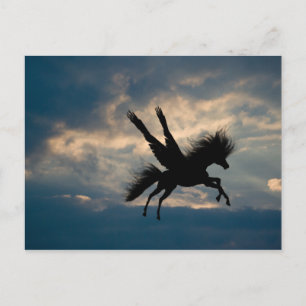 Abend Flight Postkarte