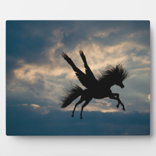 Abend Flight v.1 Plaque Fotoplatte