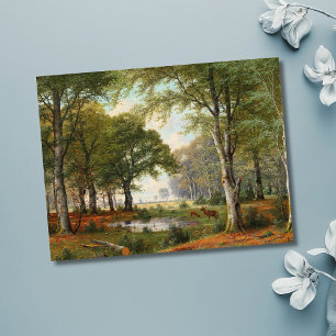 Abend Forest Landschaft Postkarte