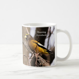 Abend Grosbeak Kaffeemaschine Tasse von BirdingCol