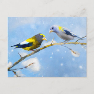 Abend Grosbeak Malerei - Niedliche Original Hunde  Postkarte