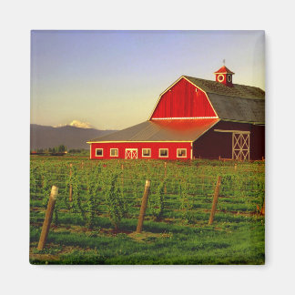 Abend in einer Scheune im Washingtoner Skagit Magnet