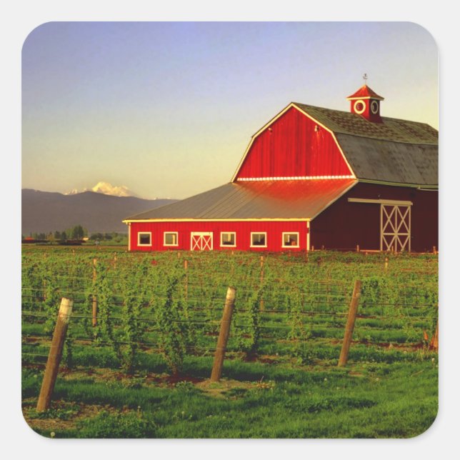 Abend in einer Scheune im Washingtoner Skagit Quadratischer Aufkleber (Vorderseite)