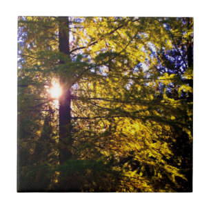 Abend Light Fliese