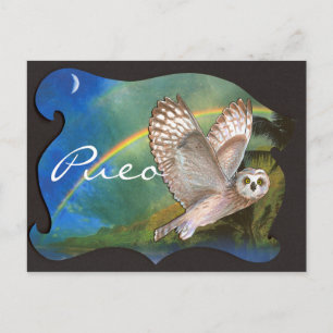 Abend Pueo Postkarte