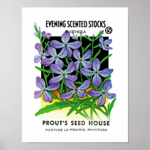 Abend-Scented Stocks Seed Packet Label Poster