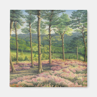 Abend Sun, Surrey Hills Pines in Pastel Magnet