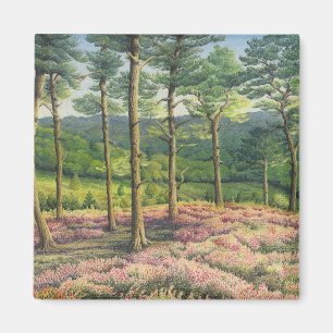 Abend Sun, Surrey-Hügel-Kiefern im Pastell Magnet